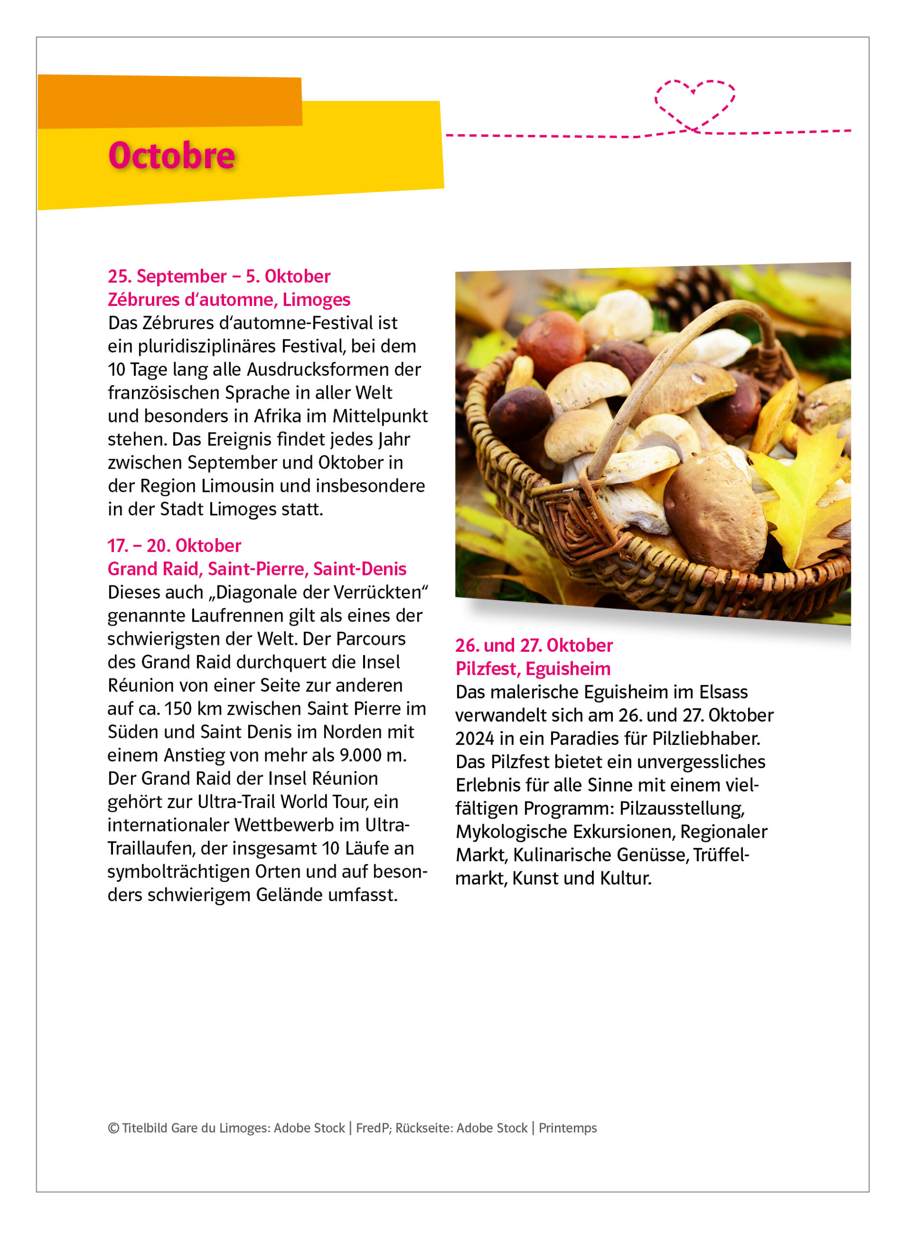 Kalenderblatt Rückseite Oktober 2024