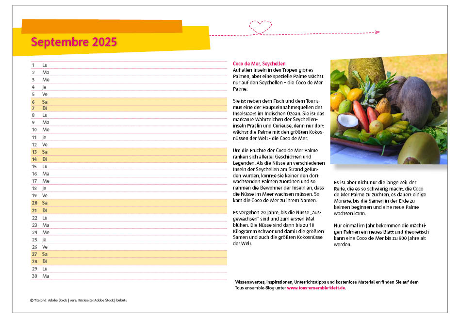 TE_22_Blog_Kalenderblatt_September_25_Rueckseite TE Blog Kalenderblatt September 2025 Rückseite Thema Coco de mer mit Eklärungstext